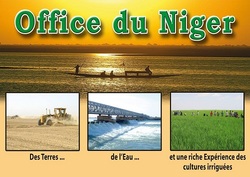 Medium_office-du-niger