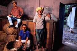 Medium_people_brazil-farmers