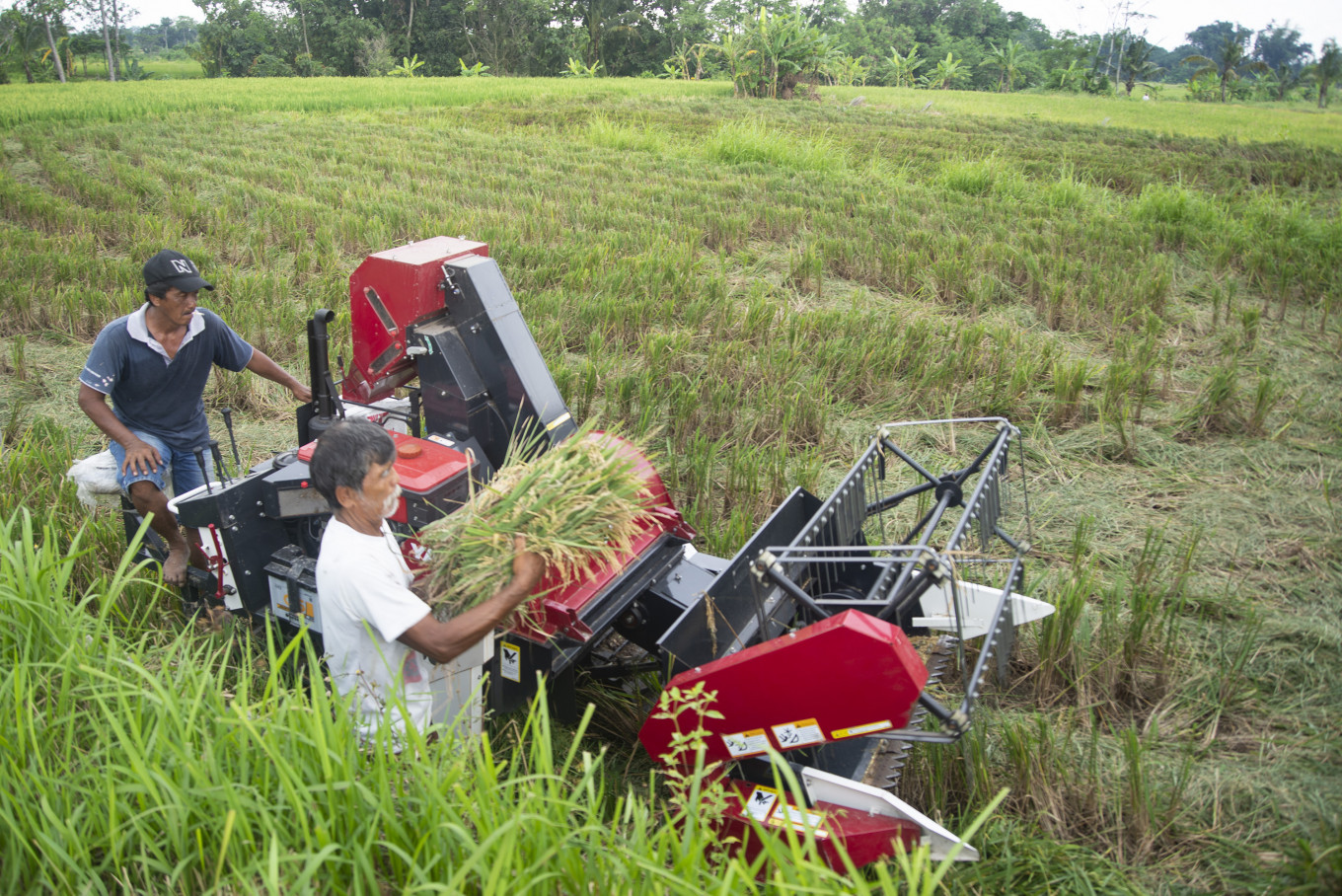 farmlandgrab org Indonesia Government to develop 