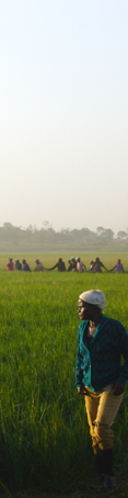 Original_2011-03-11-women-in-field_tall454