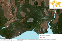 Medium_central-kalimantan-satellite-map-with-ag