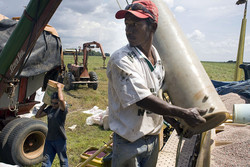 Medium_na-au308_brazil_g_20081128163208