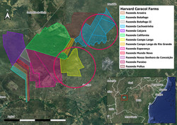 Medium_harvard_caracol_bahia_circled