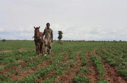 Medium_senegal_foncier