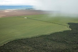 Medium_03_09_fazenda_estrondo_foto_greenpeace