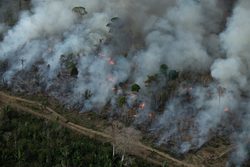 Medium_aumento-de-44-do-desmatamento-mostra-a-vulnerabilidade-da-ti-karipuna-que-permanece-sendo-bastante-ameacada-christian-braga-greenpeace-scaled