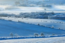 Medium_0_farmland-in-heavy-frost