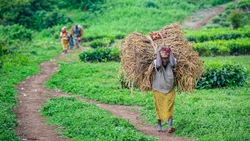 Medium_pygmee-rdc-foret-batwa-kahuzi-biega