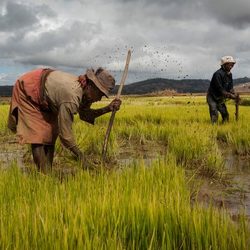 Medium_land-grabbing-350x350