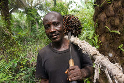 Medium_20220707_sierra-leone-palm-oil-bockarie-landa-potrait_saidu-bah_chinadialogue-1800x1202