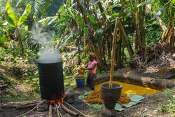 Medium_20220707_sierra-leone-processing-palm-oil_saidu-bah_chinadialogue-1800x1202