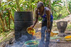 Medium_20220707_sierra-leone-homemade-palm-oil_saidu-bah_chinadialogue-1800x1202