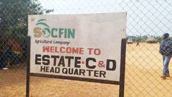 Medium_land_rights_activists_attacked_in_sierra_leone