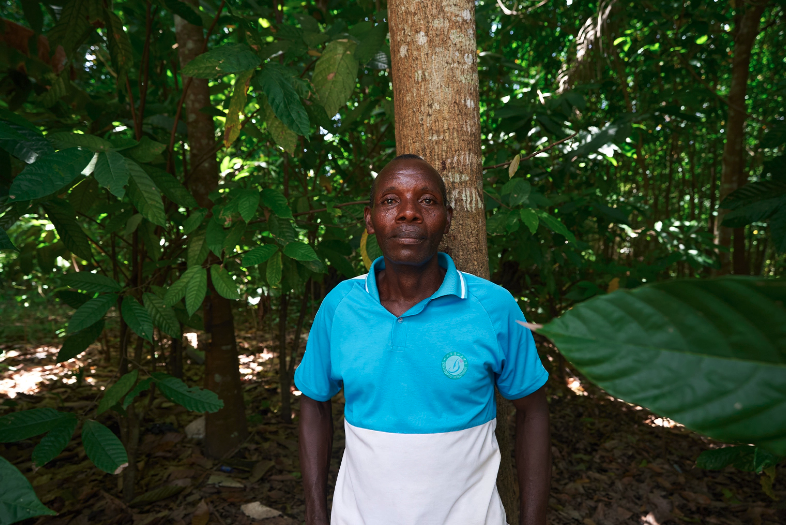 farmlandgrab.org | At a rubber plantation in Liberia, history repeats ...