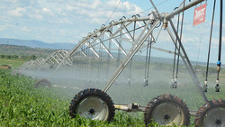 Medium_the-project-will-also-provide-cutting-edge-irrigation-systems