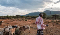 Medium_conflict-in-arid-semi-arid-kenya-07