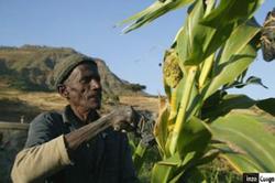 Medium_quand-les-fonds-d-investissements-se-partagent-les-terres-agricoles-de-l-afrique_full_article