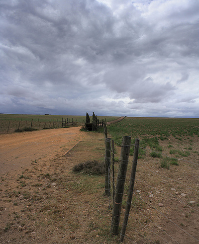 Large_farm-gate-south-africa