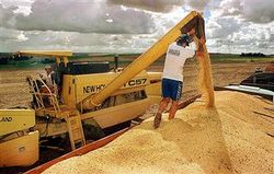 Medium_brazil-soybeans