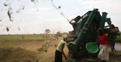 Medium_gambela_farm_worker