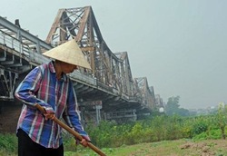 Medium_afp_vietnam_farmer_long_bien_bridge_480_october2009