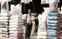 Medium_rice_nigeria1