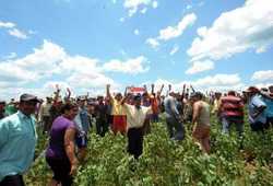 Medium_trabajadores-nacunday-alto-parana-paraguay_preima20111223_0171_10