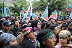 Medium_terres mapuche5