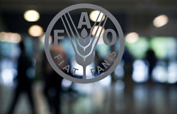 Medium_14-09-2011fao