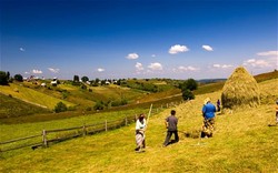 Medium_farmland_1927322c