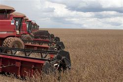 Medium_brazil-soybean-harvest-2009-3-6-0-1-16