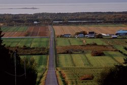 Medium_terres_agricoles_dans_la_rgion_chaudire-appalaches_au_qubec_620982