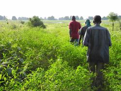 Medium_landgrab_ethiopia