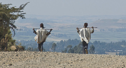 Medium_ethiopia-boys