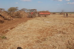 Medium_ethiopia farm 253
