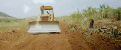 Medium_bulldozer460x265