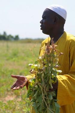 Medium_in-senegal-farmers-versus-europe-in-senegal-farmers-versus-europe