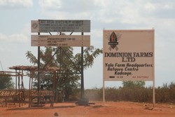 Medium_d-farms-sign