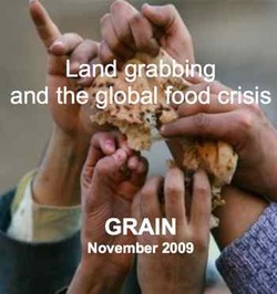 Medium_land_grabbing_and_the_global_food_crisis_nov