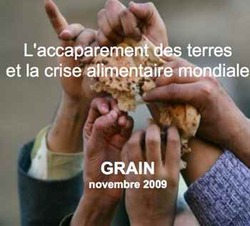 Medium_l_accaparement_des_terres_et_la_crise_alimenta