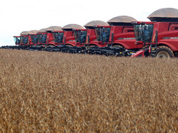 Medium_soybeans-farm-serra-tangara