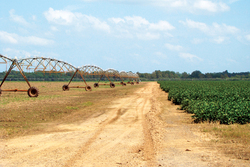 Medium_irrigation-capability