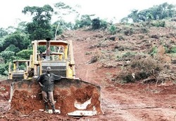 Medium_land-grab-uganda