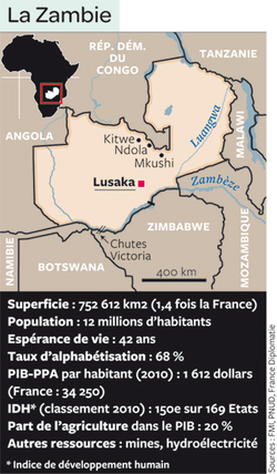 Medium_1059-zambie-350