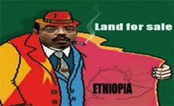Medium_ethiopian-land-grab