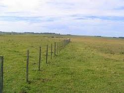 Medium_urutierras
