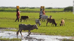 Medium_130321175720-tana-river-kenya-story-top