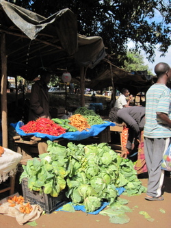 Medium_chimoio_market_veggies2_sm