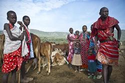 Medium_maasai-pastoralists-africa