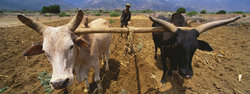 Medium_agricultores-en-etiopia-